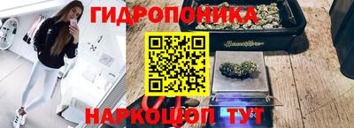 ALPHA PVP Комсомольск-на-Амуре