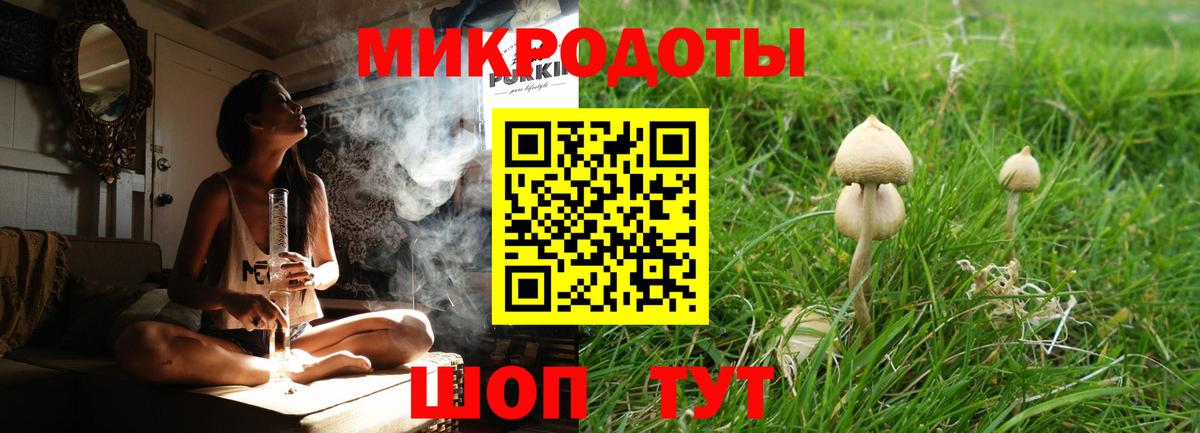Псилоцибиновые грибы мицелий Щёлково